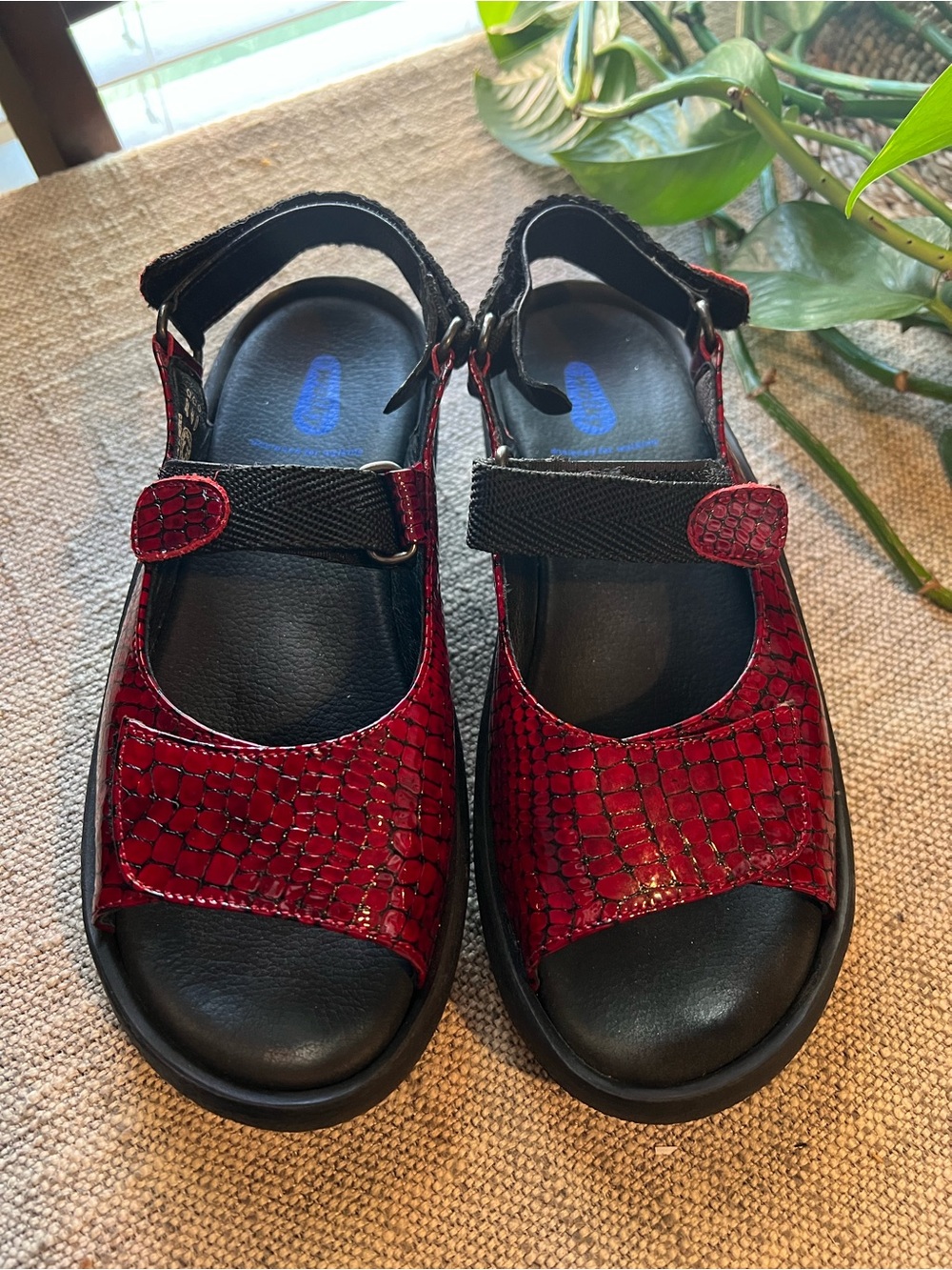 Wolky Red crocodile Leather Comfort Walking Shoes Sandals women Sz 39 8-81/2